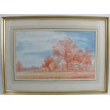 Edward Stamp, watercolour, rural landscape, dated 1973, 11.25ins x 19ins (D)