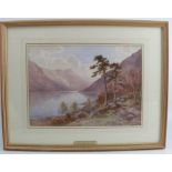 Edward Tucker, watercolour, rural landscape with sheep, trees and water, 10.5ins x 14.5ins