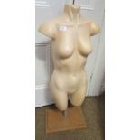 A female bust mannequin