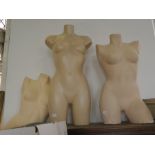 THREE FEMALE TORSO DUMMYS