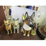 A collection of alsatian models