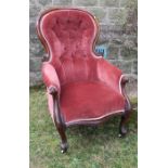 A Victorian mahogany show wood armchair, with button spoon back, raised on cabriole front supports