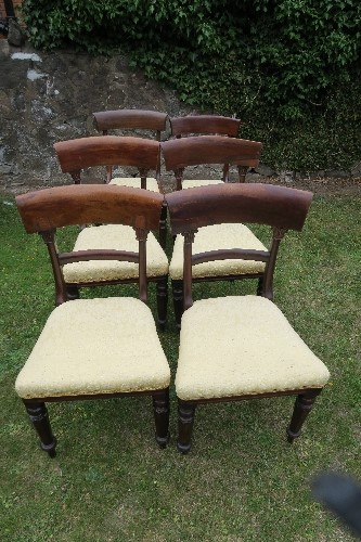 A harlequin set of six 19th century bar back dining chairs, four having tulip decoration