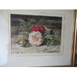 William Jabez Muckley, watercolour, Roses on a Bank, 8.5ins x 11.25ins