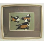 Robert Gillmor, limited editoin print, Hooded Mergansers, 9ins x 12.5ins