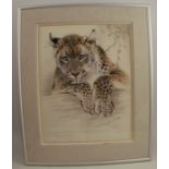 Ralph Thompson, watercolour, Who Goes There - young leopard, 14ins x 26ins (D)