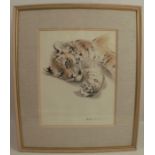 Ralph Thompson, watercolour, Siberian Tiger Cub Relaxing, 13ins x 10ins (D)