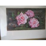 Eleanor Ough, watercolour, Three Pink Roses, 6ins x 11ins