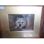 19th century school, oil on board, portrait of a terrier, 10.5ins x 7.5ins