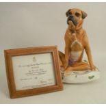 A Royal Worcester limited edition model of a boxer, seated on a cushion by Ken Potts, together