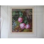 Jabez Bligh, watercolour, Roses, 7ins x 6ins