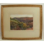 W W Collins, watercolour, moorland landscape, 7ins x 9.75ins