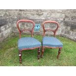 A set of five Victorian balloon back chairs
