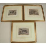 A set of three 19th century framed colour prints of racehorses, Vespa by J F Herring, The Princess