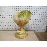 A Royal Worcester blush ivory conch shell, having all over shell decoration, with gilding and
