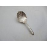 A late Georgian silver shell bowl caddy spoon, maker's mark TW, London 1800