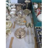 A Selection of Electroplated Silver including egg cruet. beer mug, specimen vase etc.