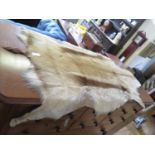 A Gazelle Hide Rug