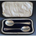 A Cased Pair of George V Silver Serving Spoons, Sheffield 1924/25, Allen & Darwin, 19.5cm, 120g