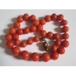 A Large Graduated Coral Bead Necklace, 98.8g, 51cm, largest bead 15x14mm