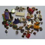 Seven R.A.O.B. 'Jewels', various pins, brooches and buttons