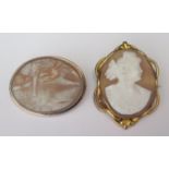 Two Shell Cameo Brooches