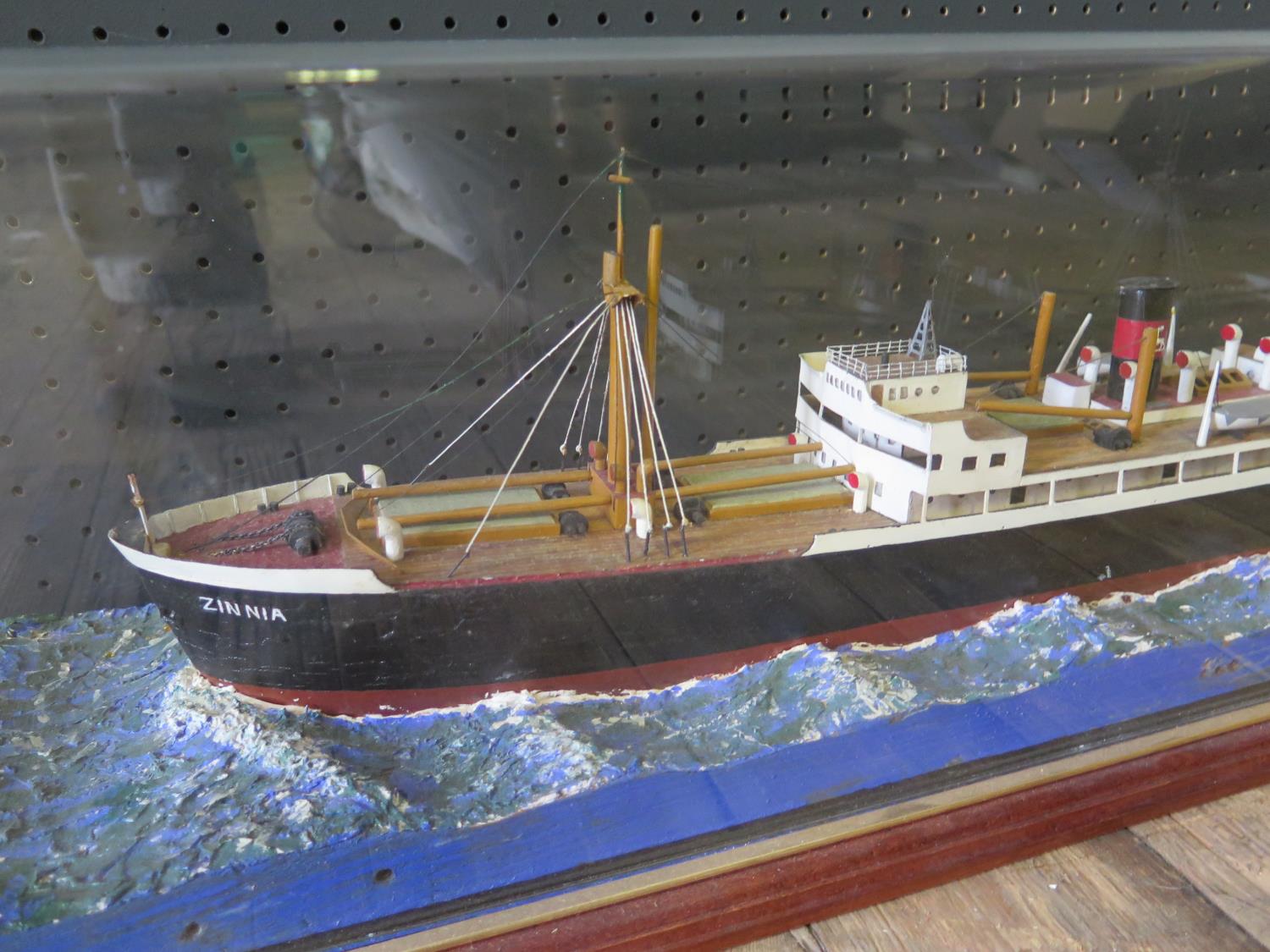 S.S. ZINIA (1951-1964) Stag Line _ Ship's model in perspex glazed case, 85(l)x20(d)x23(h)cm - Image 2 of 2