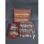 A Large Collection of Maritime Enamel Collector's Spoons