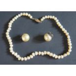 A Pearl Necklace with 14K gold clasp and pair of clip earrings