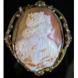 A Nineteenth Century Shell Cameo Brooch