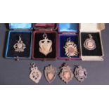 Eight Silver Medallions, 88g