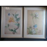 A Pair of Republican Chinese Paintings on Silk of birds and blossom, 40x25cm, framed and glazed