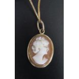 A 9ct Gold Shell Cameo Pendant on a 9ct gold chain, 4.4g gross