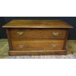 An Oak Chest of Two Long Drawers