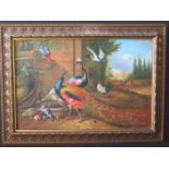 A Gilt Framed Decorative Exotic Bird Painting