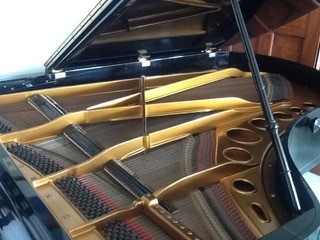 Bösendorfer (c1920's) A 6ft 7in 200cm grand piano in an ebonised case on square tapered legs. - Image 5 of 11