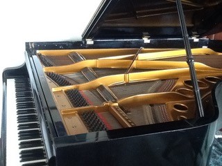 Bösendorfer (c1920's) A 6ft 7in 200cm grand piano in an ebonised case on square tapered legs. - Image 3 of 11