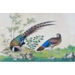 19th Century Exotic pheasants A pair of watercolours 11cm x 16cm Housed in ornate gilt mounts and