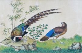 19th Century Exotic pheasants A pair of watercolours 11cm x 16cm Housed in ornate gilt mounts and