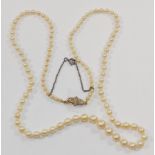 An early 20th century cultured pearl necklace with diamond set clasp,