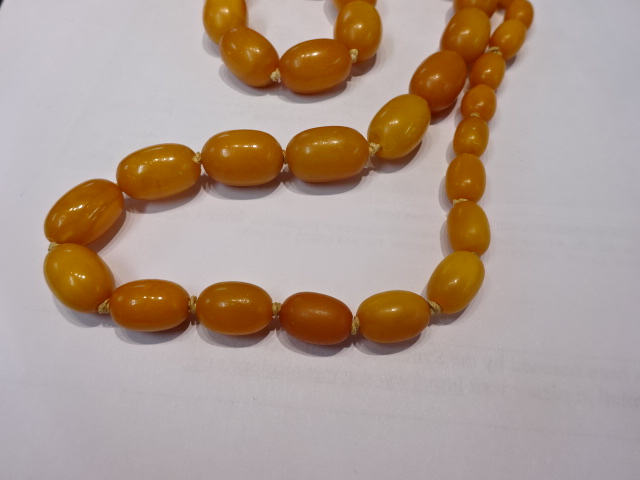 A yellow bead amber necklace, 75.8g. - Image 5 of 7