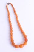 A yellow amber bead necklace, 35.5g.