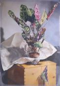 Published by the Lenkiewicz archive, 'Still Life, Prayer Plant', with certificate, 85cm x 50cm.