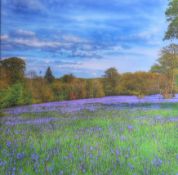 A screen-print on canvas, 'A field of bluebells' 46cm x 46cm. this art work is being sold on