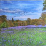 A screen-print on canvas, 'A field of bluebells' 46cm x 46cm. this art work is being sold on