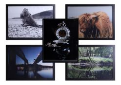 Five photographs including the Tamar and Brunel Bridges, Highland cattle and pocket watch (5) 47cm x