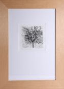 Robert Lenkiewicz, 'Painters Garden', signed limited edition etching no 21/75, framed and glazed