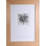 Robert Lenkiewicz, 'Painters Garden', signed limited edition etching no 21/75, framed and glazed