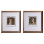 Two David Shepherd small signed, limited edition prints of Lion Cub 784/1000 and Lion 784/1000, both