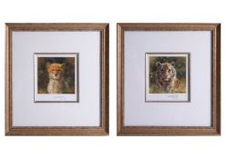 Two David Shepherd small signed, limited edition prints of Lion Cub 784/1000 and Lion 784/1000, both